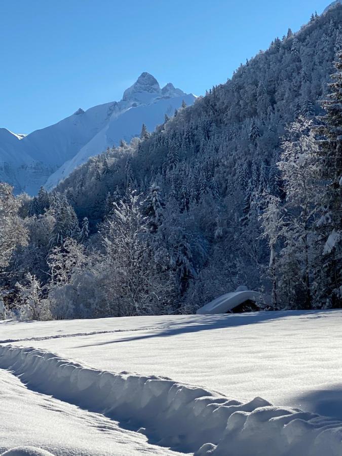 Landhaus Am Plattenbichl - Luxus Apartment Mit Privat-Pool Und Sauna - Im Sommer Bergbahn Inklusive Oberstdorf Eksteriør bilde