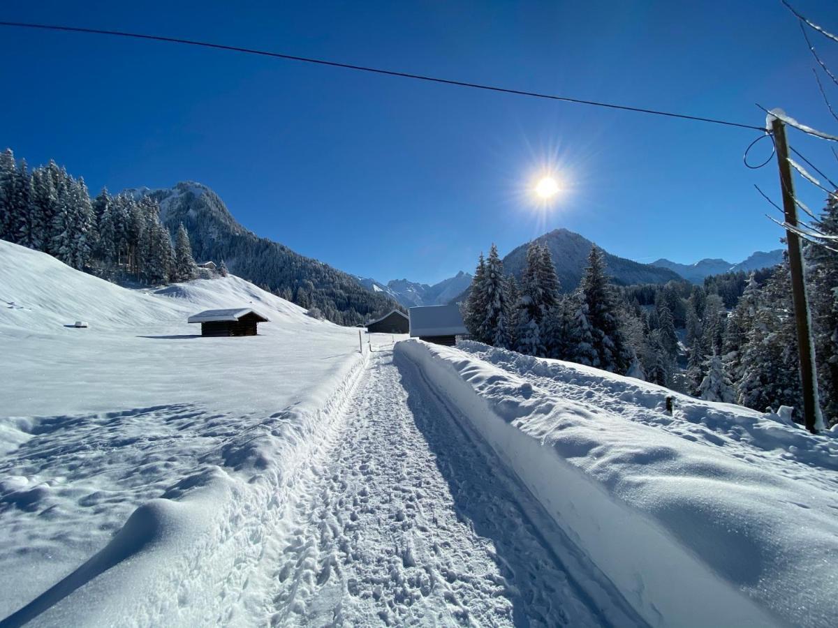 Landhaus Am Plattenbichl - Luxus Apartment Mit Privat-Pool Und Sauna - Im Sommer Bergbahn Inklusive Oberstdorf Eksteriør bilde